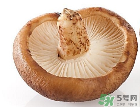 什么病不能吃香菇？香菇不能和什么一起吃