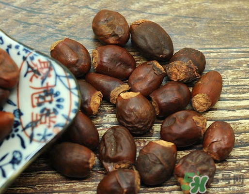 龍眼核能種嗎？龍眼核怎么種盆栽