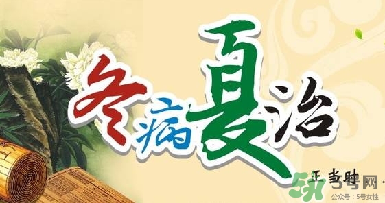 三伏灸要灸幾次？三伏灸要灸多久？