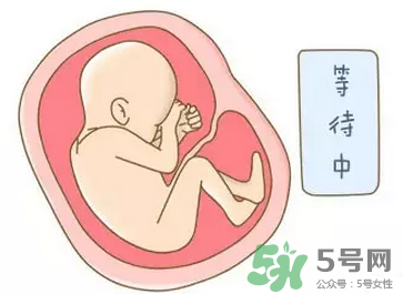 胎位不正能順產(chǎn)嗎？胎位不正怎么辦？