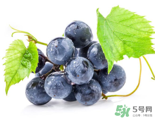 夏黑葡萄為什么掉色？夏黑葡萄怎么會染色？
