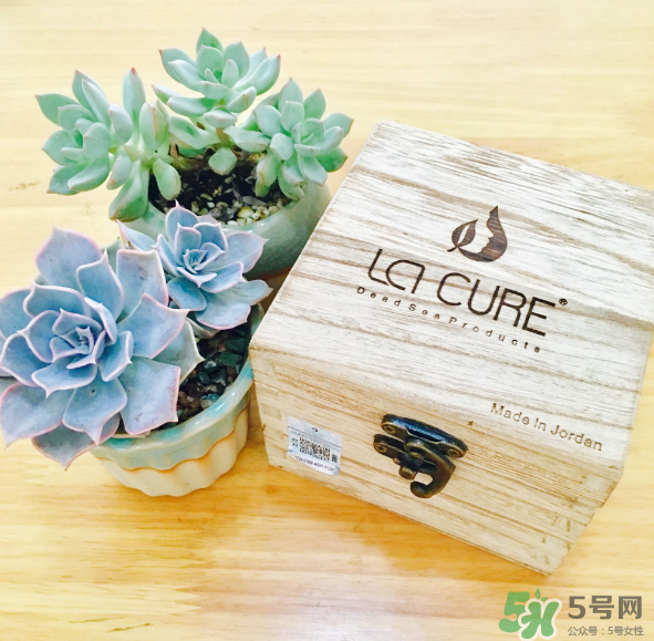 天然死海礦物泥面膜怎么樣？天然死海礦物泥面膜好用嗎？