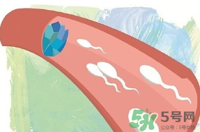 男性避孕藥什么牌子好？男性避孕藥多少錢一盒？