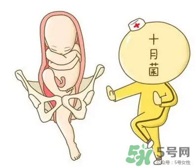 胎位不正能順產(chǎn)嗎？胎位不正怎么辦？