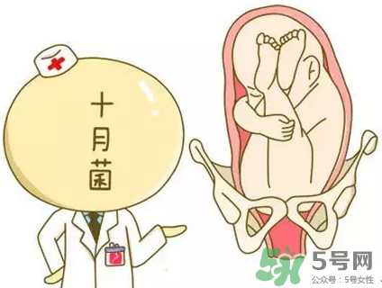 胎位不正能順產(chǎn)嗎？胎位不正怎么辦？