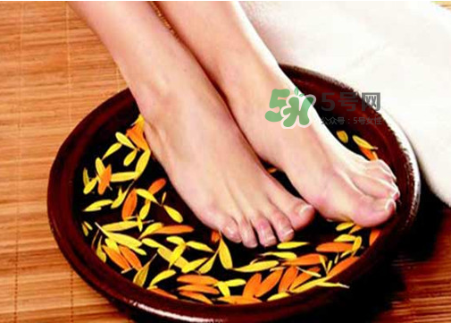 三伏天能用姜泡腳嗎？三伏天用姜泡腳好嗎？