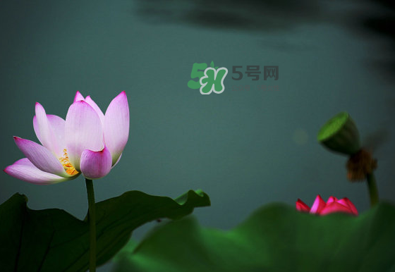 2017中伏最熱嗎？ 2017初伏中伏末伏哪個(gè)最熱？