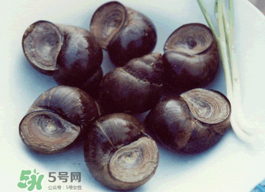 田螺是發(fā)物嗎？田螺是海鮮嗎