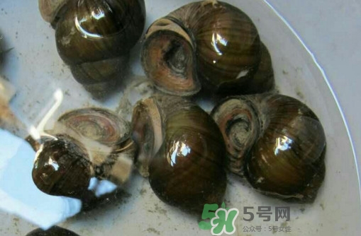 田螺里面都可以吃嗎？田螺不能和什么同食