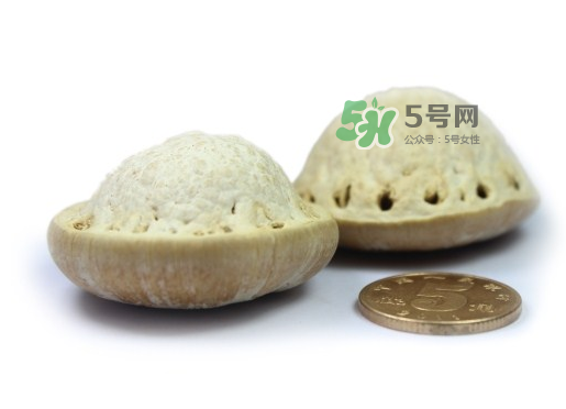 風流果泡酒要不要敲碎？壯陽果泡水要不要敲碎？