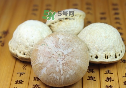 風流果泡酒要不要敲碎？壯陽果泡水要不要敲碎？