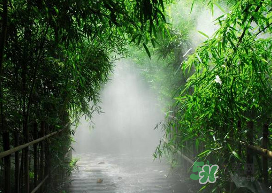 2017大暑會不會下雨？2017大暑下雨好嗎？