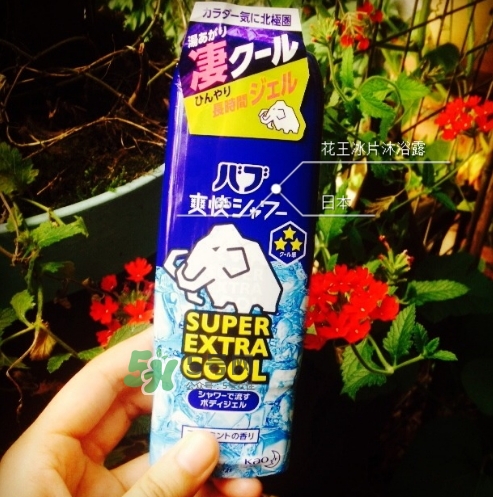 花王kao冰片沐浴露怎么樣？花王冰片沐浴露哪款好？