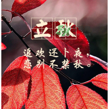 立秋后就是秋天了嗎？立秋后就涼快了嗎？