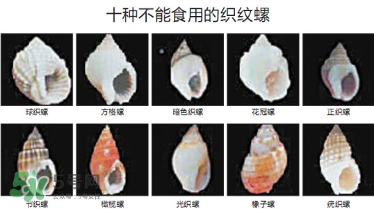 哪些人不能吃田螺？哪些田螺不能吃