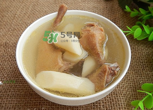 三伏天能吃鴿子嗎？三伏天能喝鴿子湯嗎？