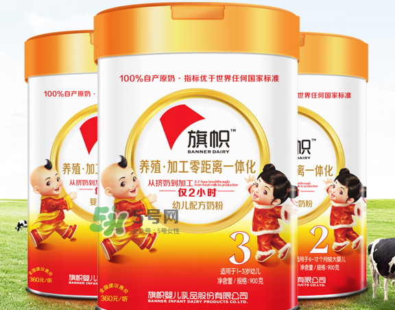 旗幟奶粉怎么樣？旗幟奶粉好不好？