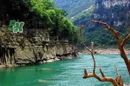 漂流需要準(zhǔn)備什么東西？漂流哪里最好玩？