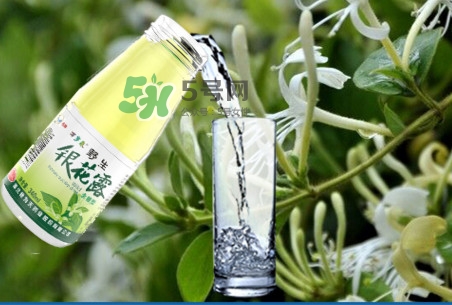 金銀花露可以冷藏嗎？金銀花露能放冰箱嗎？