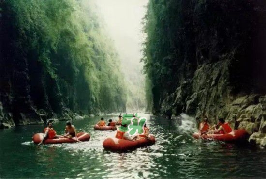 漂流需要準(zhǔn)備什么東西？漂流哪里最好玩？