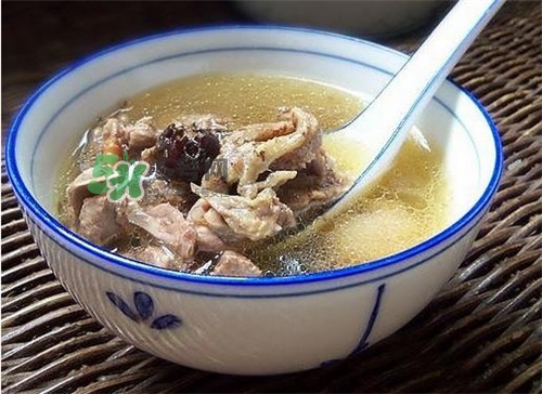 三伏天能吃鴿子嗎？三伏天能喝鴿子湯嗎？