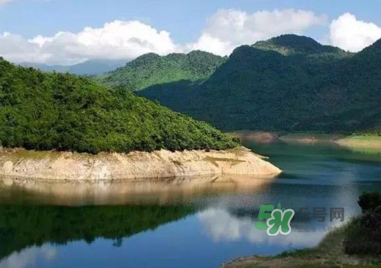 漂流需要準(zhǔn)備什么東西？漂流哪里最好玩？