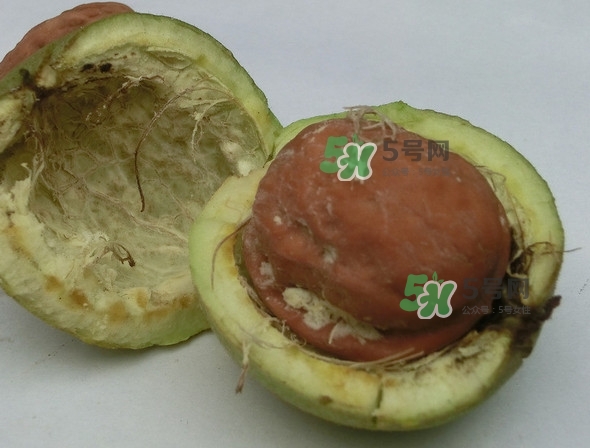 核桃最外面的青皮有什么用？為什么摸了核桃的青皮手會(huì)黑？