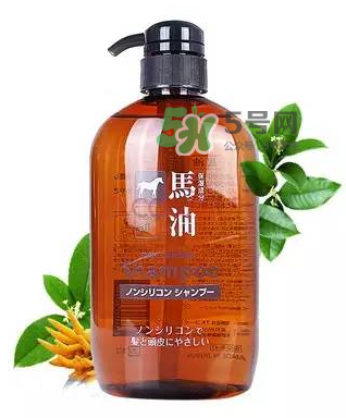 熊野馬油洗發(fā)水起頭屑嗎？KUMANO洗發(fā)水用完長頭屑嗎？