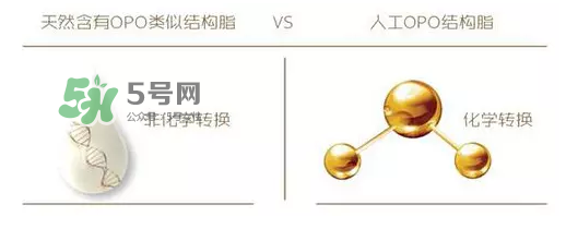 奶粉里面的OPO是什么？opo是天然的還是后期添加的？