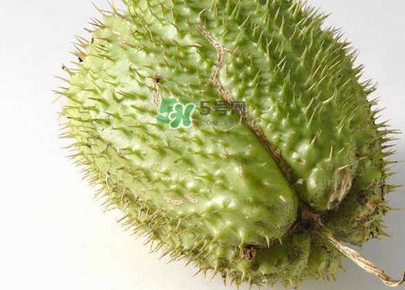 刺果番荔枝多少錢一斤？刺果番荔枝哪里有賣？