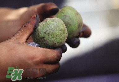 青皮核桃哪里有賣？哪里可以買到青皮核桃