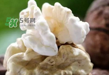 青皮核桃?guī)捉锍鲆唤锔珊颂?？青皮核桃什么時候成熟