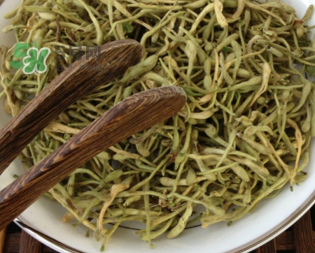 金銀花茶苦嗎？喝金銀花茶需要注意什么