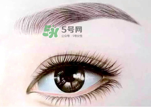 三伏天能紋眉嗎？三伏天紋眉毛好嗎？