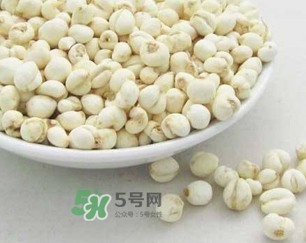 川貝母是川貝嗎？川貝母是酸性還是堿性？