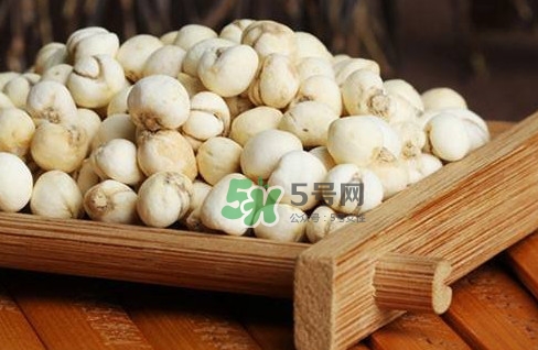 川貝母可以直接吃嗎？川貝母可以泡水喝嗎