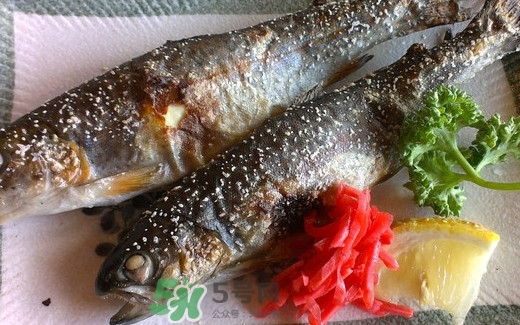 鱒魚是三文魚嗎？鱒魚是什么魚