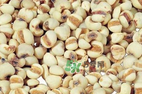 川貝母可以直接吃嗎？川貝母可以泡水喝嗎