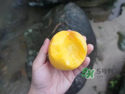 炎陵黃桃什么時候成熟？炎陵黃桃好吃嗎？