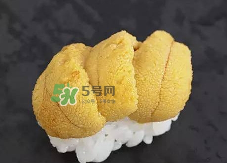 海膽怎么處理？海膽可以生吃嗎？