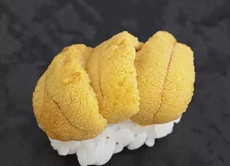 活海膽怎么殺？海膽怎么開殼？