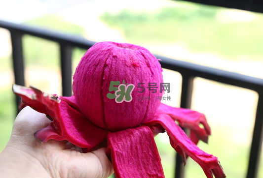 紅心火龍果能天天吃嗎？每天吃一個紅心火龍果好嗎？