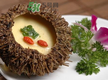 海膽死了還能吃嗎？海膽不能跟什么一起吃