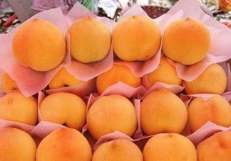 錦繡黃桃什么時候成熟？錦繡黃桃?guī)自鲁墒欤?><p><strong>錦繡黃桃什么時候成熟？錦繡黃桃?guī)自鲁墒欤?/strong></p></a></li> <li><a href=