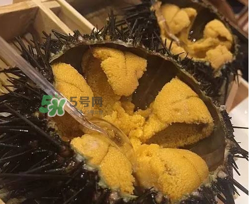 海膽貴嗎？海膽多少錢(qián)一斤？