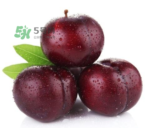黑布林可以泡酒嗎？黑布林怎么吃？