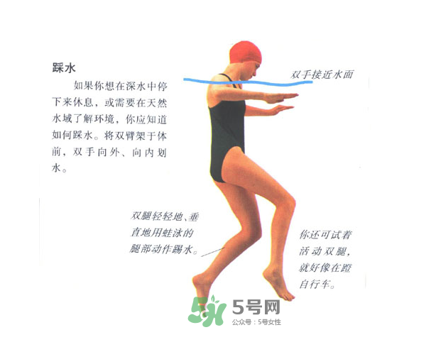 游泳怎么踩水？游泳踩水技巧圖解