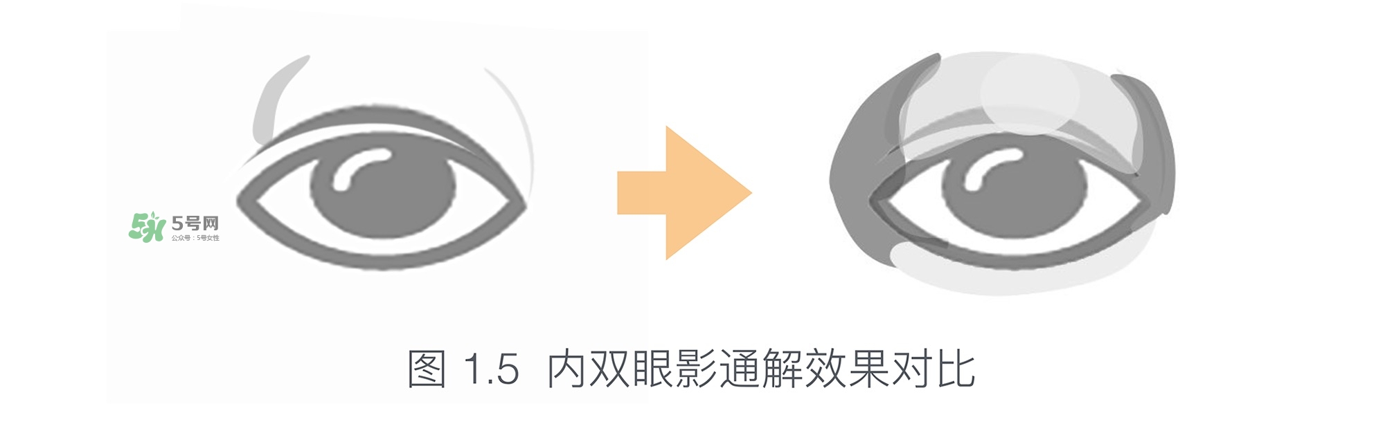 內(nèi)雙眼妝畫(huà)法及步驟圖片 日常內(nèi)雙眼妝的畫(huà)法