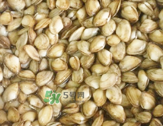 海瓜子怎么做好吃？海瓜子怎么清洗