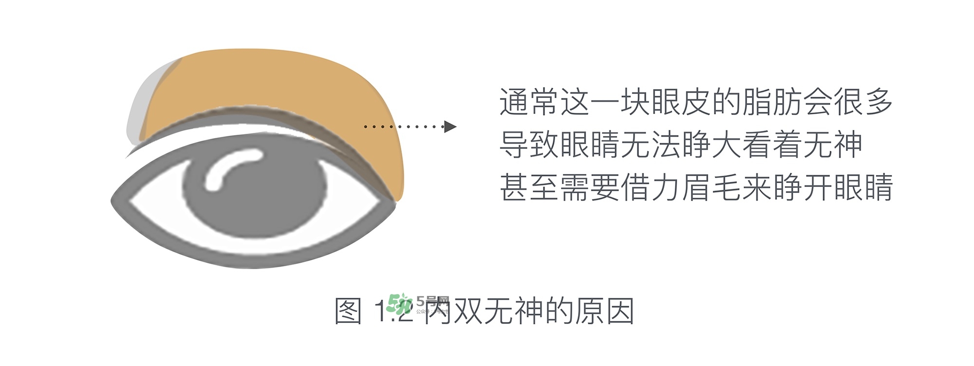 內(nèi)雙眼妝畫(huà)法及步驟圖片 日常內(nèi)雙眼妝的畫(huà)法